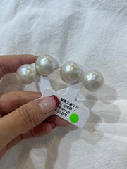 奄美大島馬貝 18MM+
