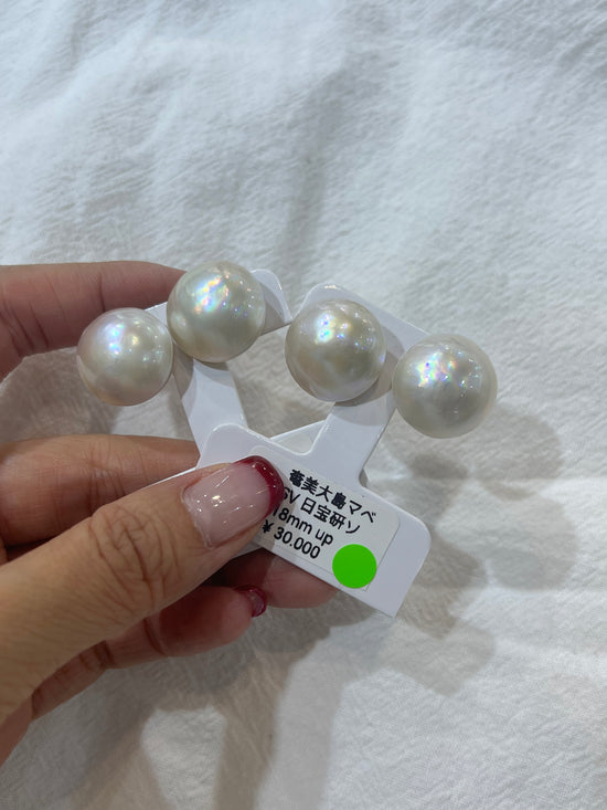 奄美大島馬貝 18MM+